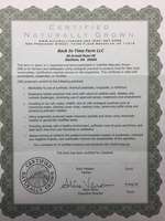 Cng_certificate